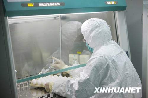 6月8日，科研人員在進(jìn)行毒株種子批的制備工作。新華社記者 邢廣利 攝