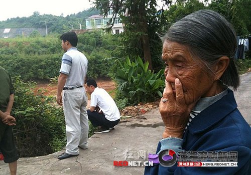 湖南寧鄉(xiāng)發(fā)現多處天坑 最大直徑80多米(組圖)