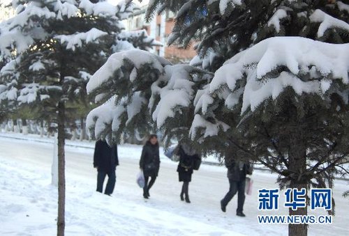 哈爾濱、大慶降下今年入冬以來第一場雪