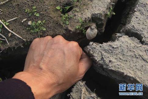 江西省湖口縣境內(nèi)鄱陽湖湖灘上干涸的裂縫中可以放進一只成年人的拳頭（12月10日攝）。新華社發(fā)（張俊 攝）