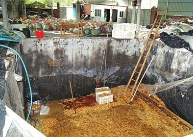 數(shù)十平方米的大池子，黑心商家用工業(yè)檸檬酸泡出35噸金針菇