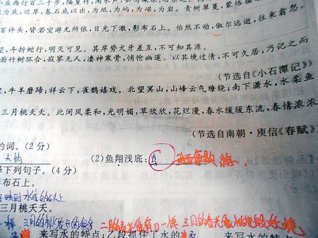 這是6月18日，網(wǎng)友“啃梨掉顆牙”發(fā)在網(wǎng)上的試卷照片。