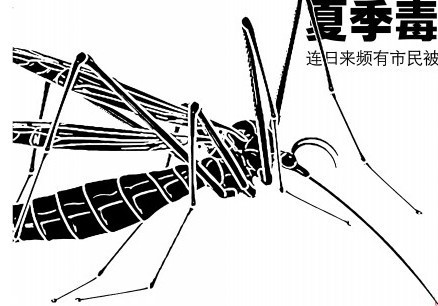 盤(pán)點(diǎn)青島夏季常見(jiàn)毒蟲(chóng) 專(zhuān)家詳解應(yīng)對(duì)方法
