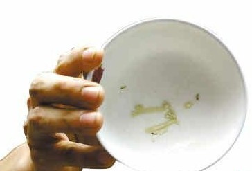 吉之島超市掛面被曝生蟲(chóng) 致孕婦嘔吐不止