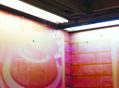 愛(ài)衛(wèi)辦檢查除四害 飯店廚師稱鼠糞為黑玄米