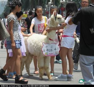 白富美開豪車帶草泥馬逛街被圍觀 奧運(yùn)金牌躺槍