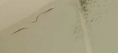青島中海熙岸新房漏雨墻長毛 變水簾洞住戶忙抗洪 青島中海熙岸新房漏雨墻長毛 變水簾洞住戶忙抗洪
