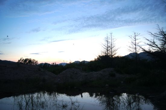 探秘青島大河?xùn)|神秘濕地:芳草叢生水鳥飛翔時(shí)光寂然