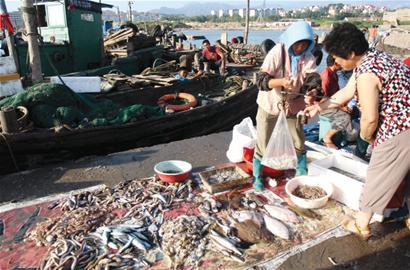 開海首日海鮮價(jià)格不高