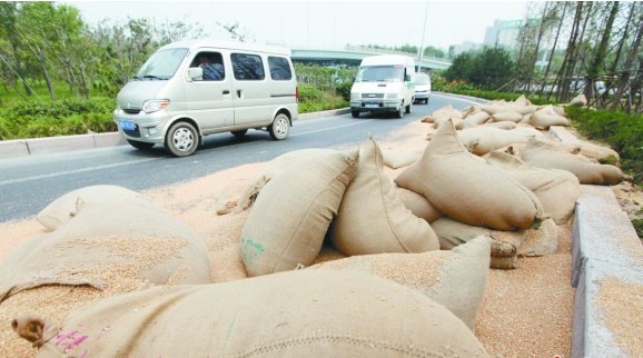 青島運糧車急拐彎甩下8噸小麥 轎車險被活埋