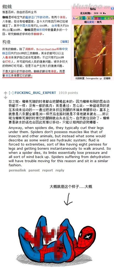 極品爆笑圖 笑點(diǎn)低慎入