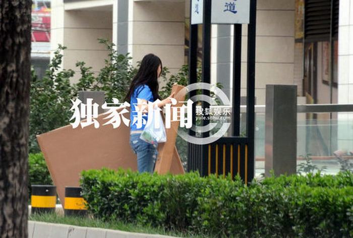 王寶強?；ㄆ拮由聿谋┓?