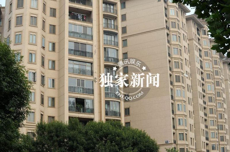 董卿低調(diào)裝扮素顏獨(dú)自回京 面色疲憊疑勞累過(guò)度