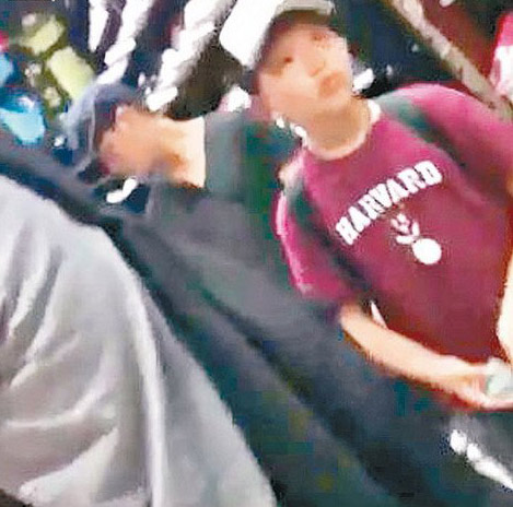 陳坤自爆寶貝兒子的清晰照 9歲優(yōu)優(yōu)訓(xùn)狗場面溫馨