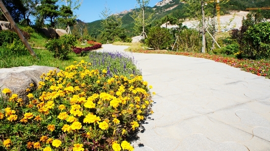 世園會(huì)內(nèi)景曝光:繁花似錦 鳥鳴婉轉(zhuǎn)