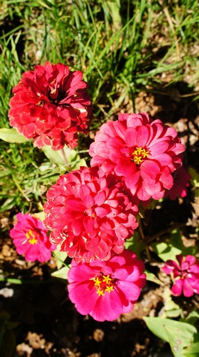 世園會(huì)內(nèi)景曝光:繁花似錦 鳥(niǎo)鳴婉轉(zhuǎn)
