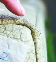吉斯真皮沙發(fā)變身人造革 商家否認(rèn)宣傳過(guò)真皮