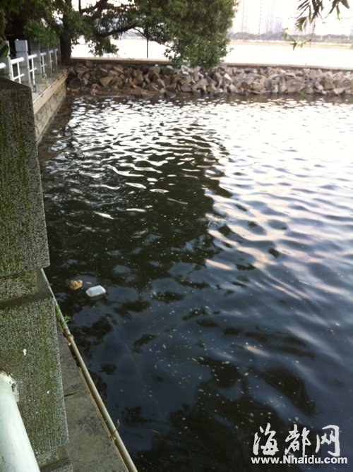 閩江公園南園沿線，閩江混雜污水，漂著垃圾，散發(fā)出腥臭。