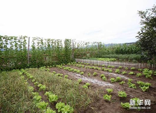朝鮮合作農場居民生活揭秘:電視電腦不缺