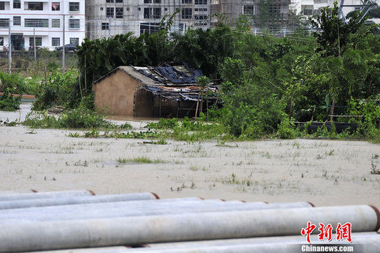 臺(tái)風(fēng)山神過(guò)境三亞大風(fēng)暴雨 市民街上下網(wǎng)捕魚(yú)