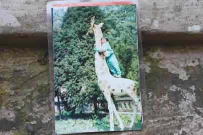 龍龍站在翠屏公園長頸鹿上的照片。圖由受訪者提供