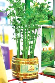 瑯琊雞蛋論個(gè)賣一個(gè)2.5元 韭菜被搶購一空