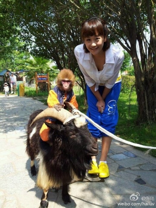 2012年當紅明星微博賣萌囧照