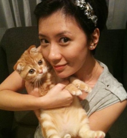 娛樂(lè)圈辣媽逆生長(zhǎng)完勝美少女