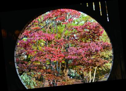 片片秋葉紅猶如畫(huà)中行