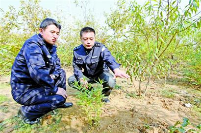 警方破獲團伙盜油案 挖地3米安水龍頭偷油