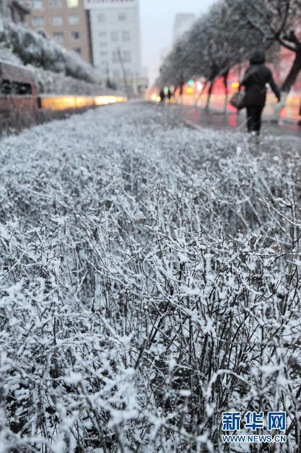 （生態(tài)）（3）內(nèi)蒙古東部、東北大部遭遇寒潮降雪天氣