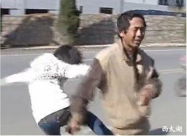 不孝的禽獸兒女 你們怎如此狠心