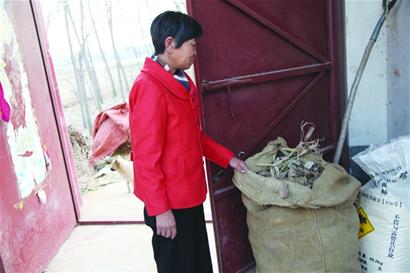 農(nóng)婦將6900元錢(qián)藏在柴火堆 做早餐當(dāng)柴燒(