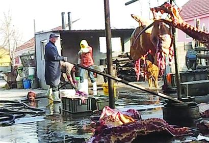 屠宰戶:賣肉不注水沒錢掙 注水肉運(yùn)往南山市場