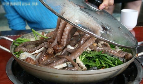 2，活章魚；韓國