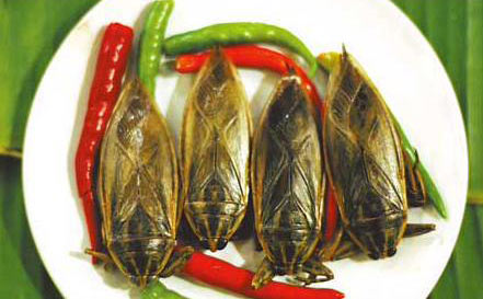 3，蚱蜢；烏干達