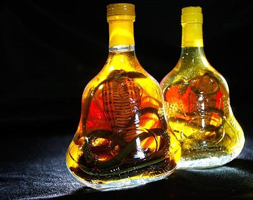 8，蛇酒；越南