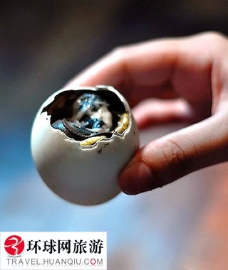 各國(guó)最奇怪食物TOP10 你敢不敢嘗一嘗