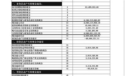 舉報(bào)人周筱赟貼出的中華兒慈會(huì)2011年財(cái)務(wù)報(bào)表，并標(biāo)出可疑項(xiàng)目。網(wǎng)絡(luò)截圖