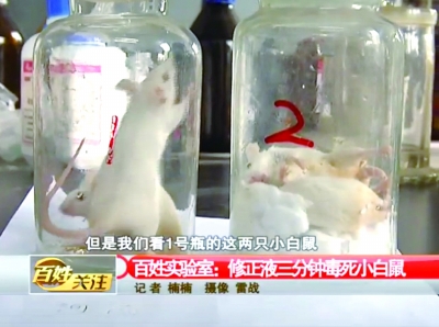 4三分鐘后，修正液瓶中的小白鼠死亡