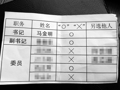 部分黨員提供的“選票”。新京報記者 劉珍妮 攝