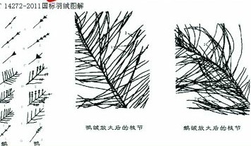 揭羽絨制品內(nèi)幕 幾塊錢(qián)飛絲冒充幾百塊鵝絨