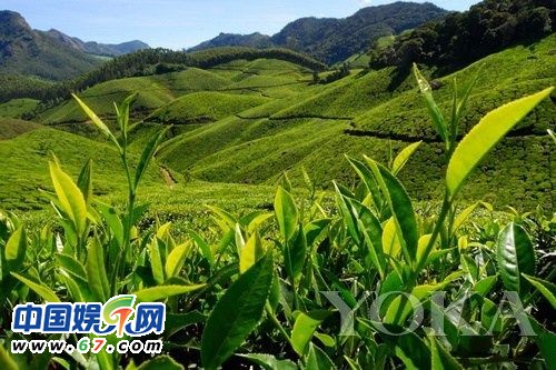 電影外景場(chǎng)地一炮而紅