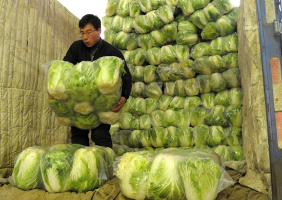 青島氣溫下降菜價飆升 部分蔬菜價格漲三成