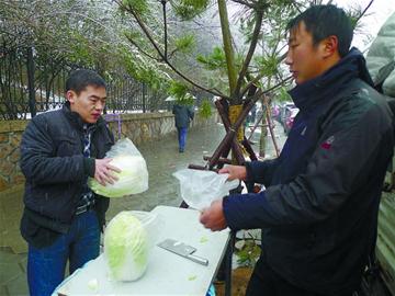 市人大代表、政協(xié)委員關注“菜事”建議拓寬銷售渠道