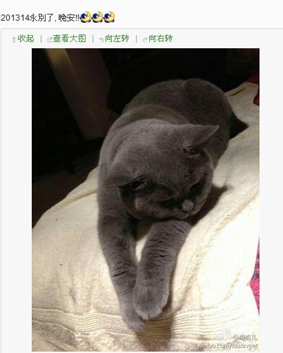 黃宗澤攜新歡游上海被拍 胡杏兒感慨：永別了！