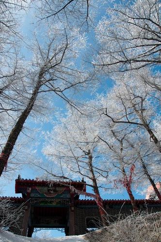 嶗山景區(qū)派發(fā)年終紅利 金牌導(dǎo)游獲獎(jiǎng)轎車