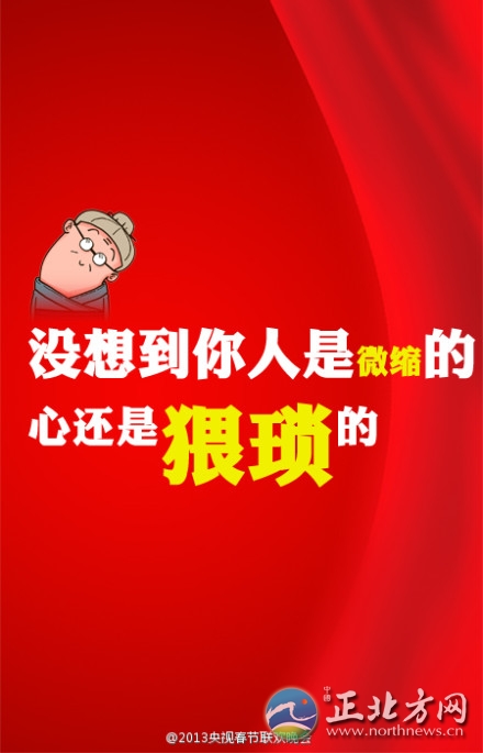 盤點2013年央視蛇年春晚流行語走紅網(wǎng)絡【組圖】