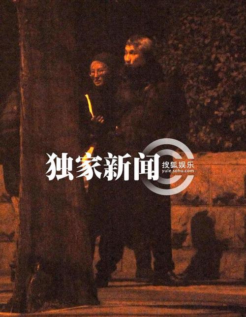 徐克和小女友十分親密