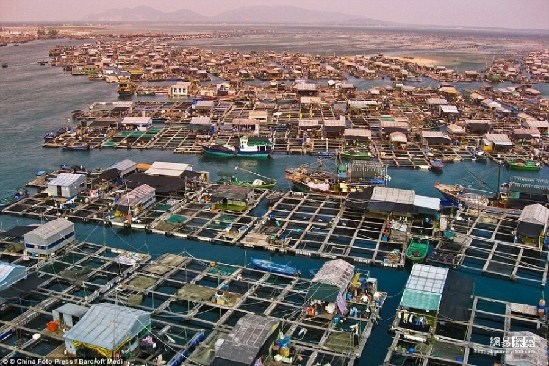 住在中國(guó):房?jī)r(jià)比天高 蝸居如蟻穴